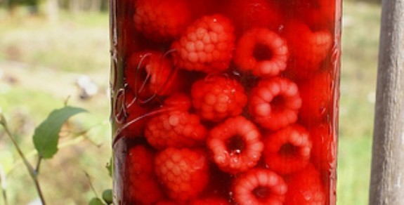 raspberry-vinegar2