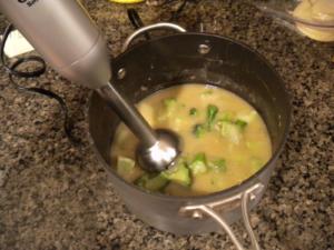 Immersion Blender