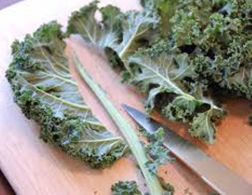 kale cutting