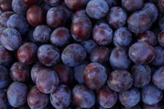Plums