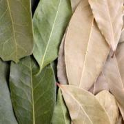 Kitchen Wisdom: Grinding Bay Leaves