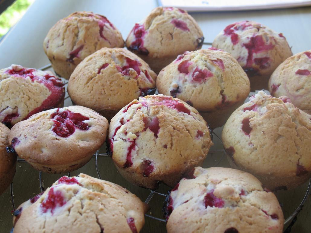 Muffins Recipes. All Variations Including Vegan and Gluten-Free ...