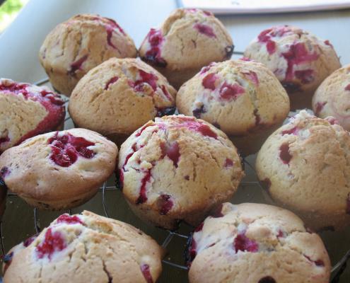 muffins
