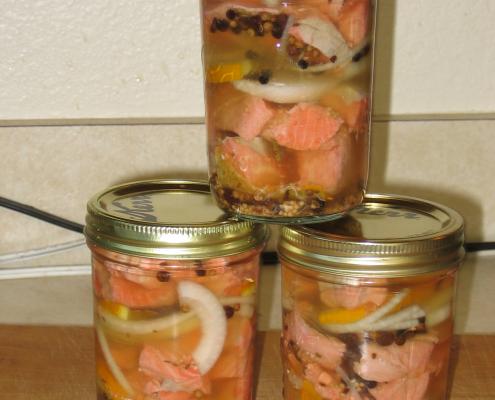 pickled salmon