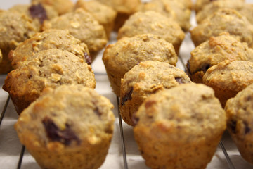 Gluten-free bread rolls